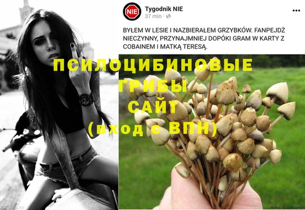 apvp Алексеевка