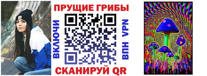 нарко площадка формула  Сургут  Галлюциногенные грибы Psilocybe 