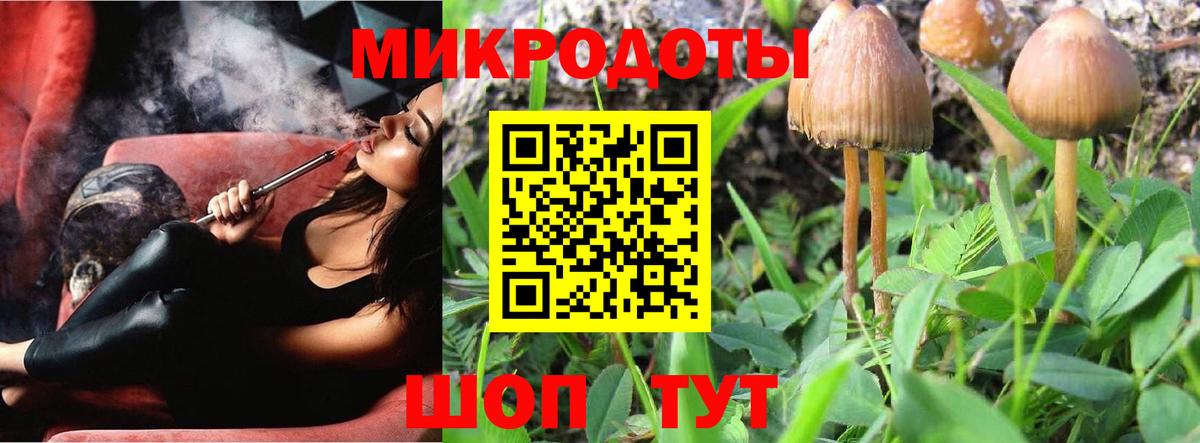 Псилоцибиновые грибы Cubensis  Псилоцибиновые грибы мицелий  Сургут  Вход с VPN 